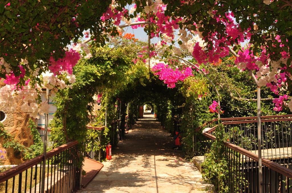 Siesta Beach Apartment Bodrum Zewnętrze zdjęcie