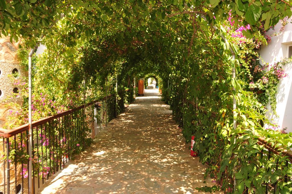 Siesta Beach Apartment Bodrum Zewnętrze zdjęcie