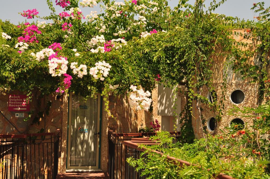 Siesta Beach Apartment Bodrum Zewnętrze zdjęcie