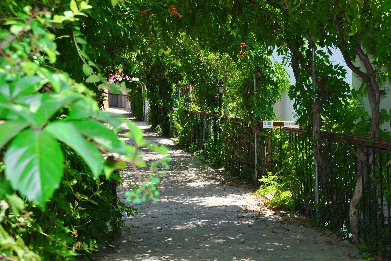 Siesta Beach Apartment Bodrum Zewnętrze zdjęcie